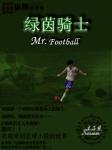 绿茵骑士