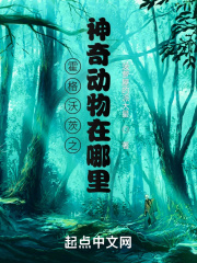 霍格沃茨之神奇动物在哪里?